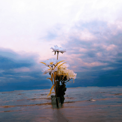 Flowers in the sky Front Cover