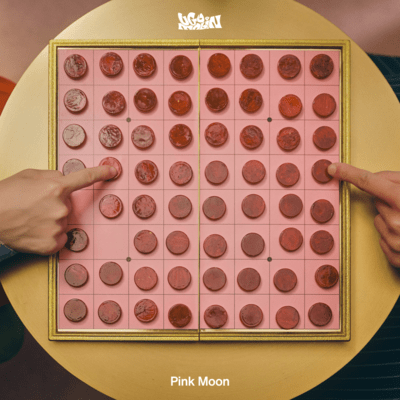 Pink Moon Front Cover