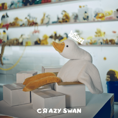 Crazy Swan Front Cover