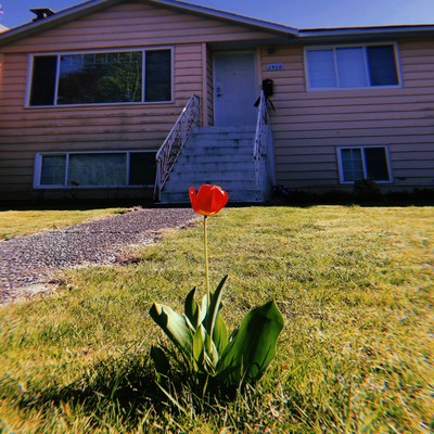 MY HOME 32 Front Cover