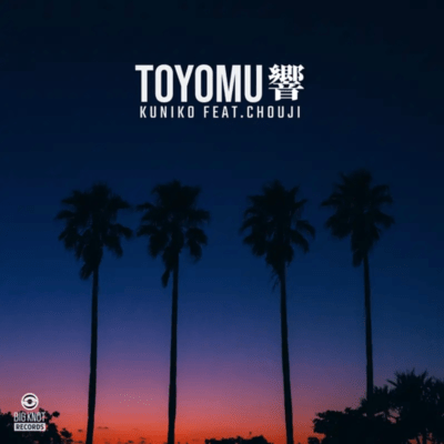 TOYOMUのジャケット写真