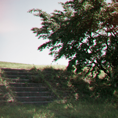 black sheep Front Cover