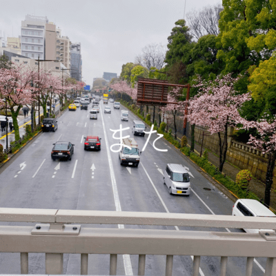 また (self cover)のジャケット写真