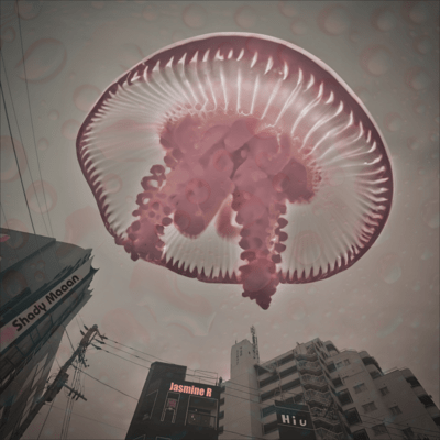 Rain of Jellyfish (feat. Jasmine R & Hiu) Front Cover