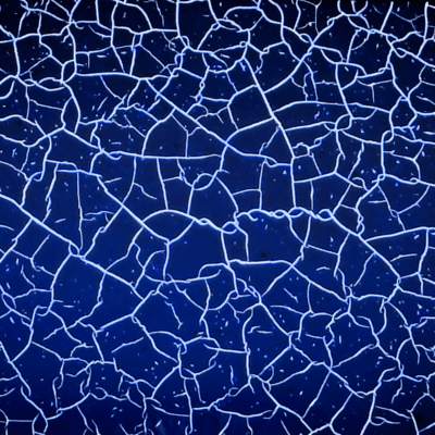 Motto (feat. Jasmine R) Front Cover