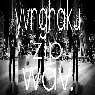 #haku.zipのジャケット写真