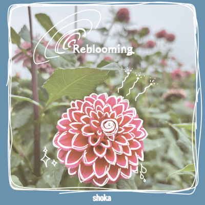 Reblooming Front Cover
