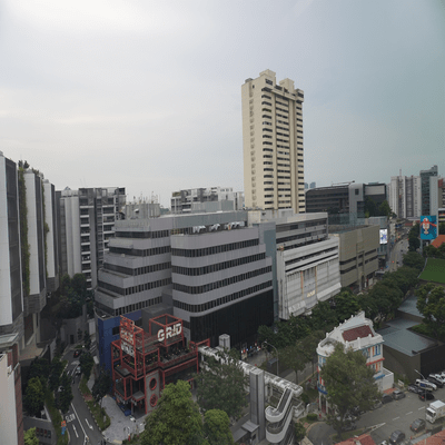 never lose Front Cover