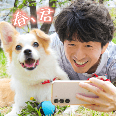 春、君のジャケット写真