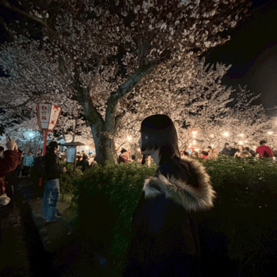 bagのジャケット写真