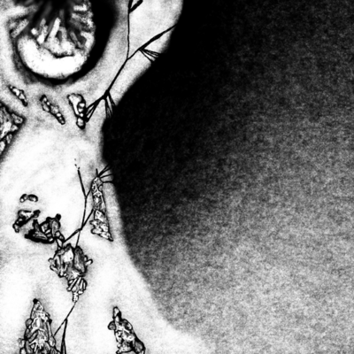 Nori utsugi Front Cover