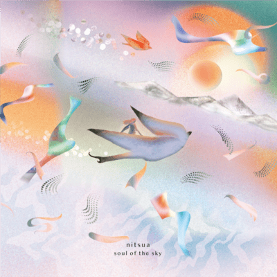 soul of the sky Front Cover