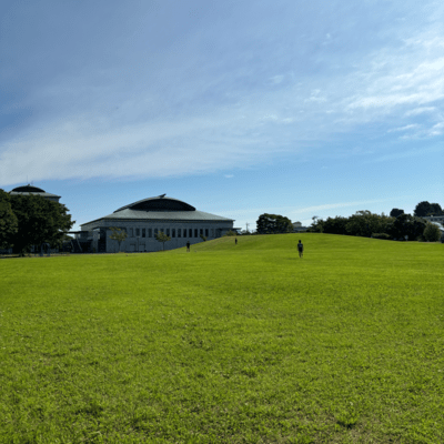 Pink Flavorのジャケット写真