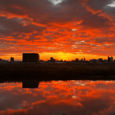 you justのジャケット写真