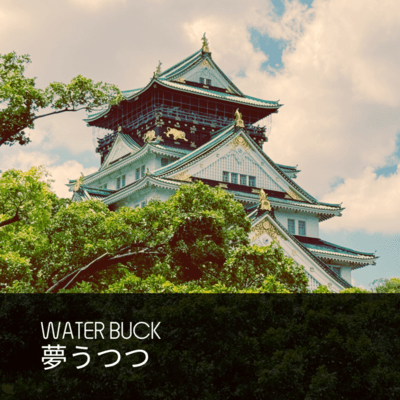 Dreaming Night Front Cover