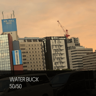 Fifty Fifty Front Cover