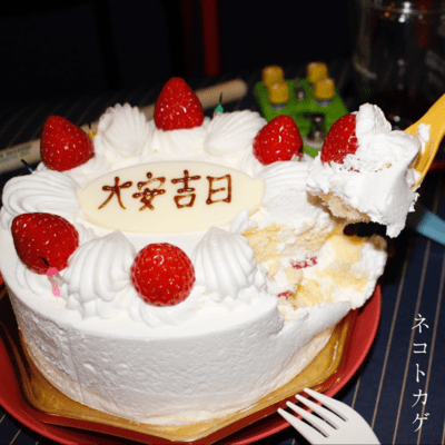 Tai-an Kichi Jitsu Front Cover