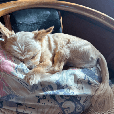 Hymn to Love Front Cover