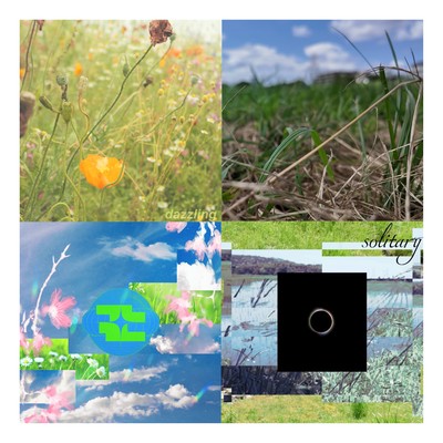 tomei ni naretara Front Cover