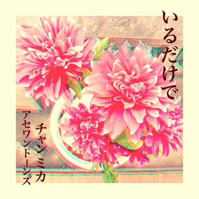 いるだけでのジャケット写真