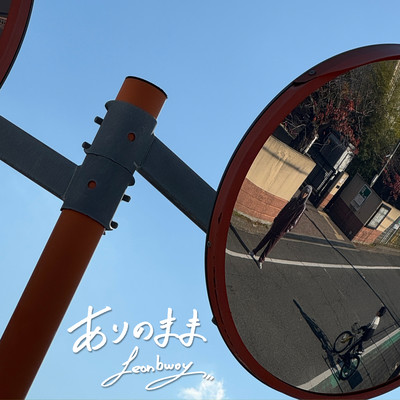 ありのままのジャケット写真