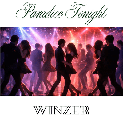 Paradice Tonight (Vocalo Project)のジャケット写真