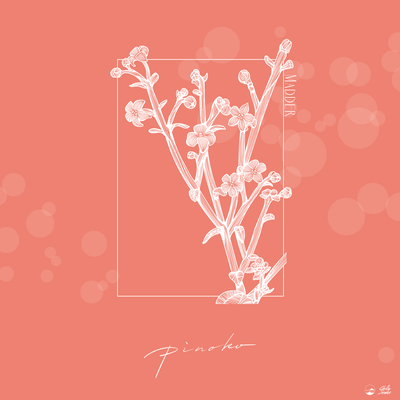 Madderのジャケット写真