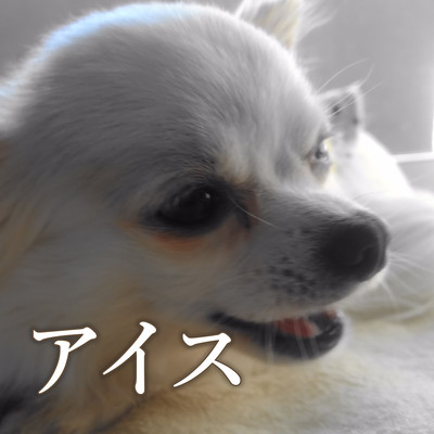 AISU Front Cover
