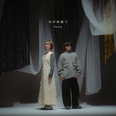 星が綺麗でのジャケット写真