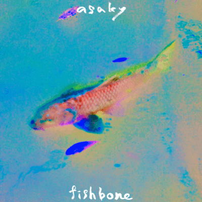 fish bone Front Cover