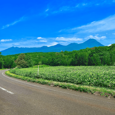 Japanese HIP-HOP Front Cover