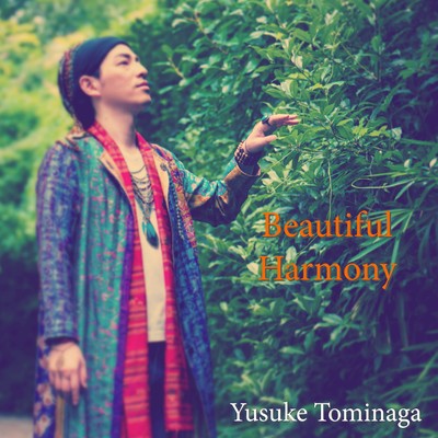 Beautiful Harmony Front Cover