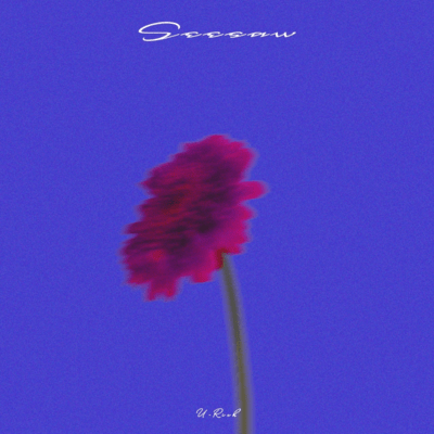 Seesaw Front Cover