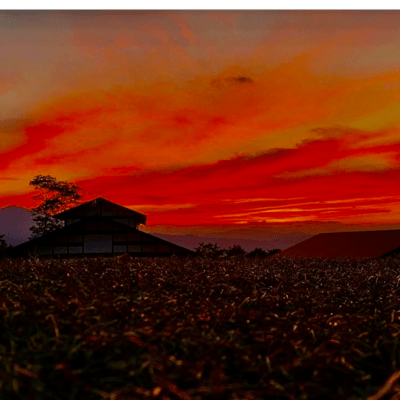 モドラナイのジャケット写真