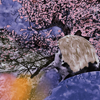 cherry tree cloud Front Cover