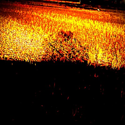 明日ハ晴レのジャケット写真