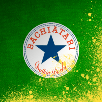 like a converse Front Cover