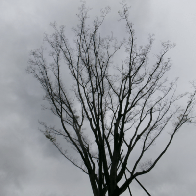 recordplayer (feat. Hibiki Koto) Front Cover