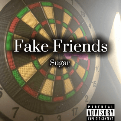 Fake friends (feat. Shin Andrew) Front Cover