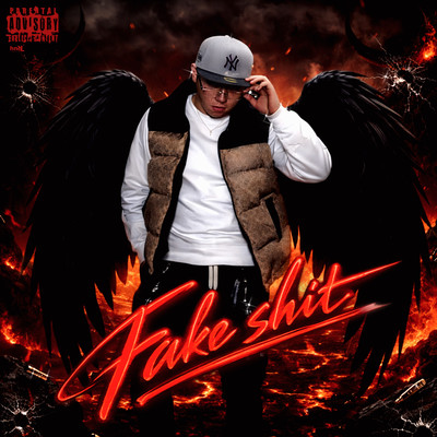 Fake shit Front Cover