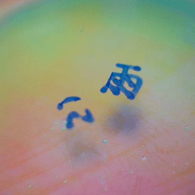 In the rain Front Cover