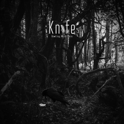 Knifeのジャケット写真