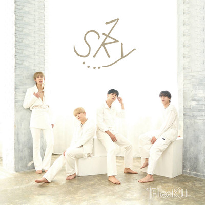 skyのジャケット写真