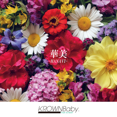 HANAVI Front Cover