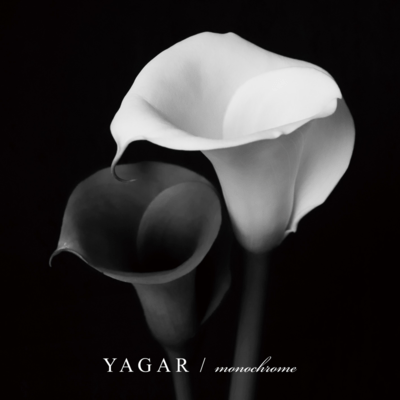 monochrome Front Cover