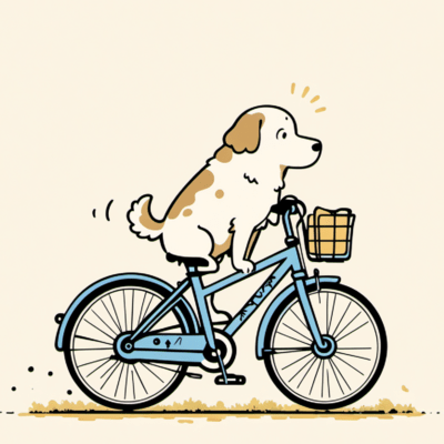 Raat Ki Udaan Front Cover