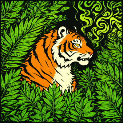 Joia do Caminhoのジャケット写真