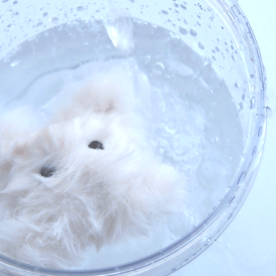 見慣れた水槽のジャケット写真