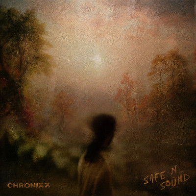 Safe N Sound Front Cover