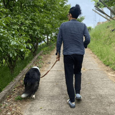 My OASIS Front Cover